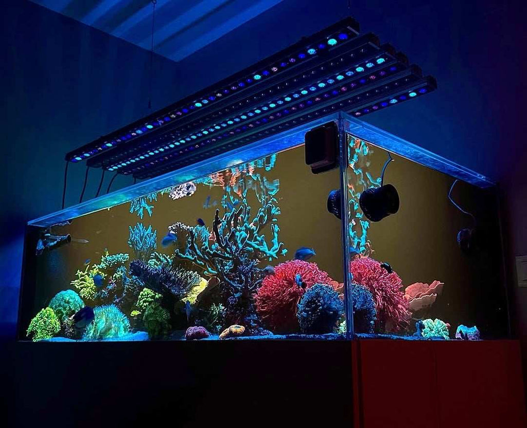 App-Controlled Reef Aquarium LED Light Bar product image 18