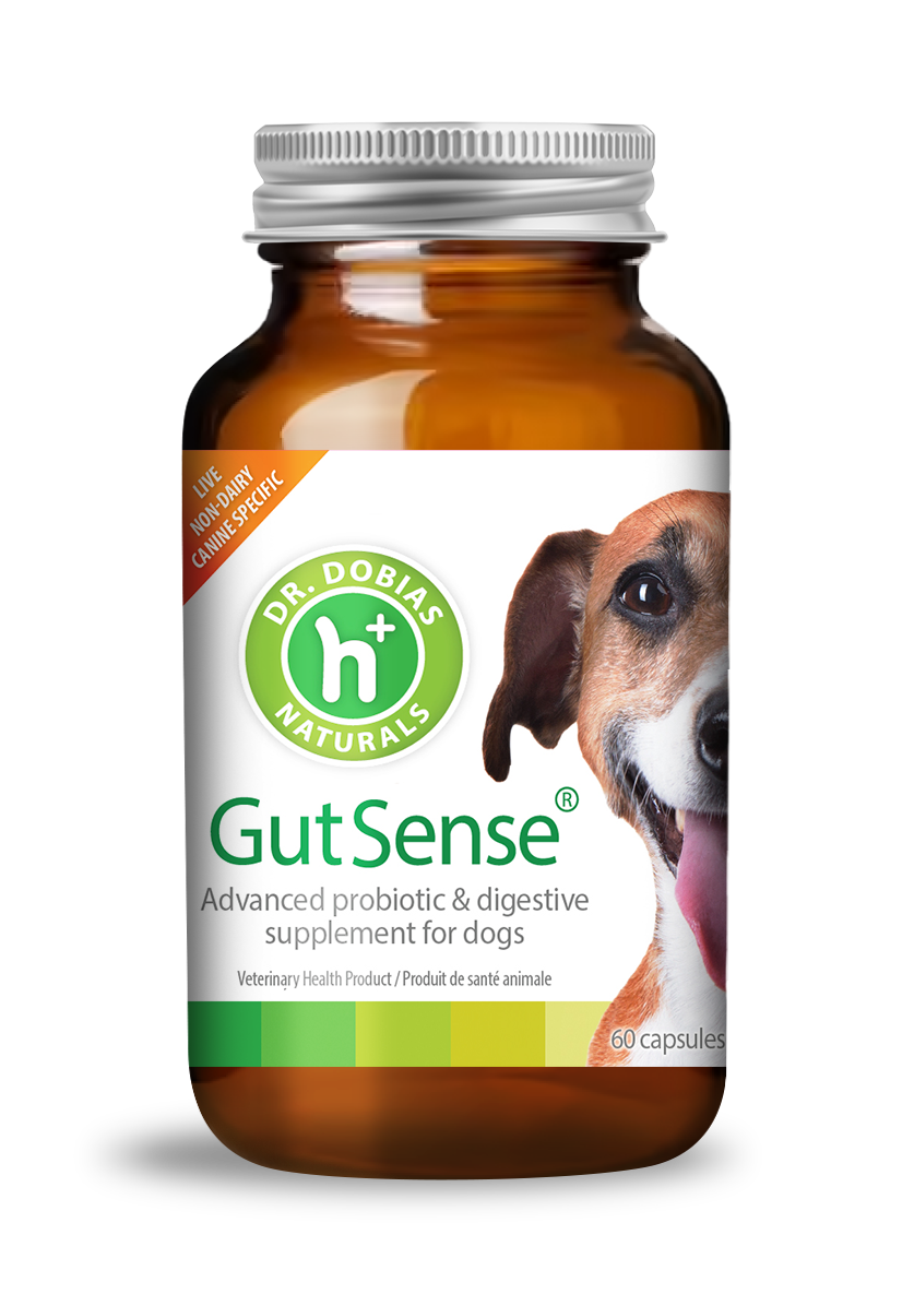 Dog Probiotic Supplement product image 1