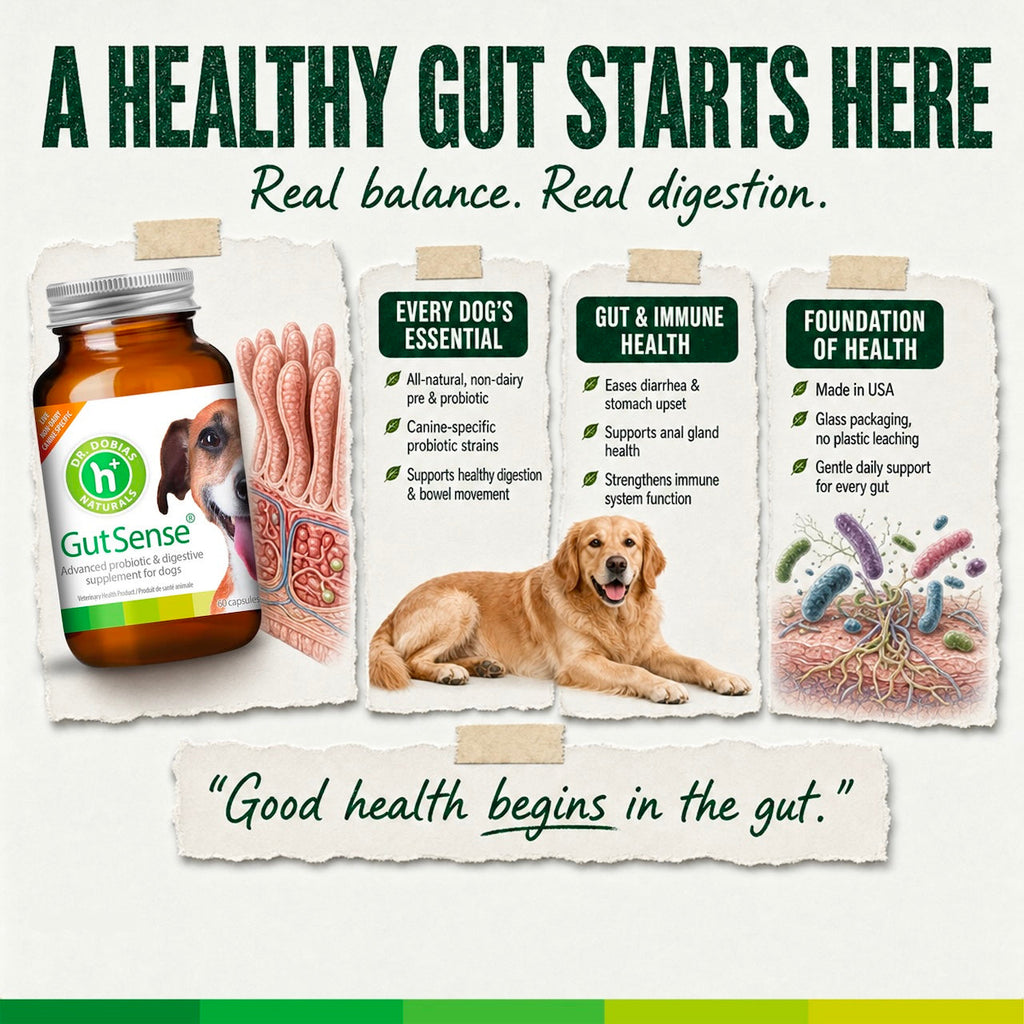 Dog Probiotic Supplement product image 2