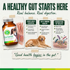 Dog Probiotic Supplement product image 2