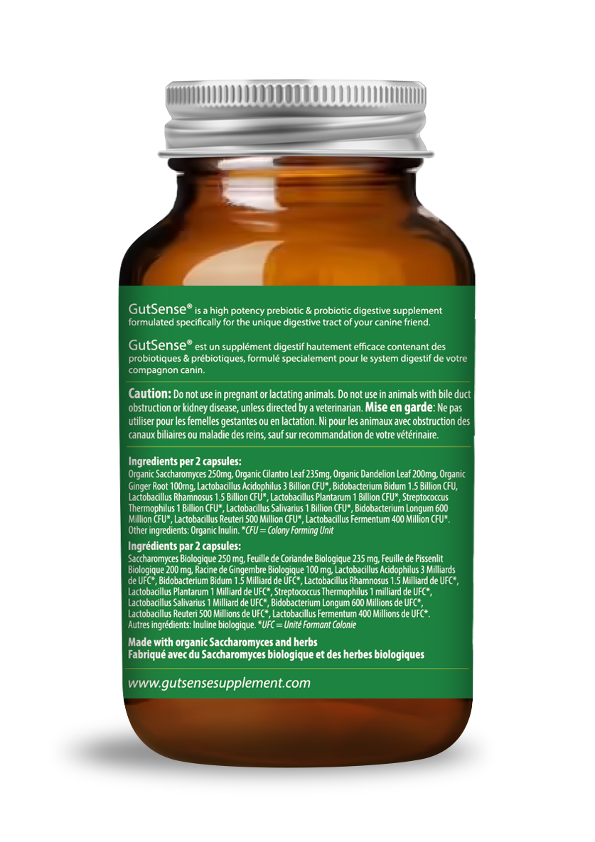 Dog Probiotic Supplement product image 3