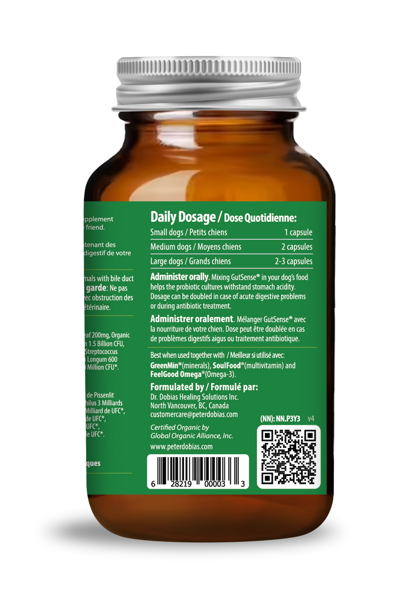 Dog Probiotic Supplement product image 4