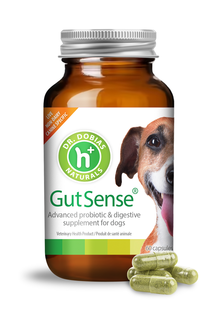 Dog Probiotic Supplement product image 6