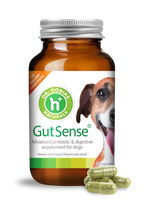 Dog Probiotic Supplement product image 6