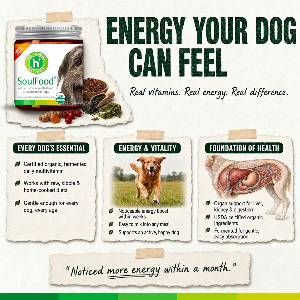 Fermented Dog Multivitamin Supplement product image 2