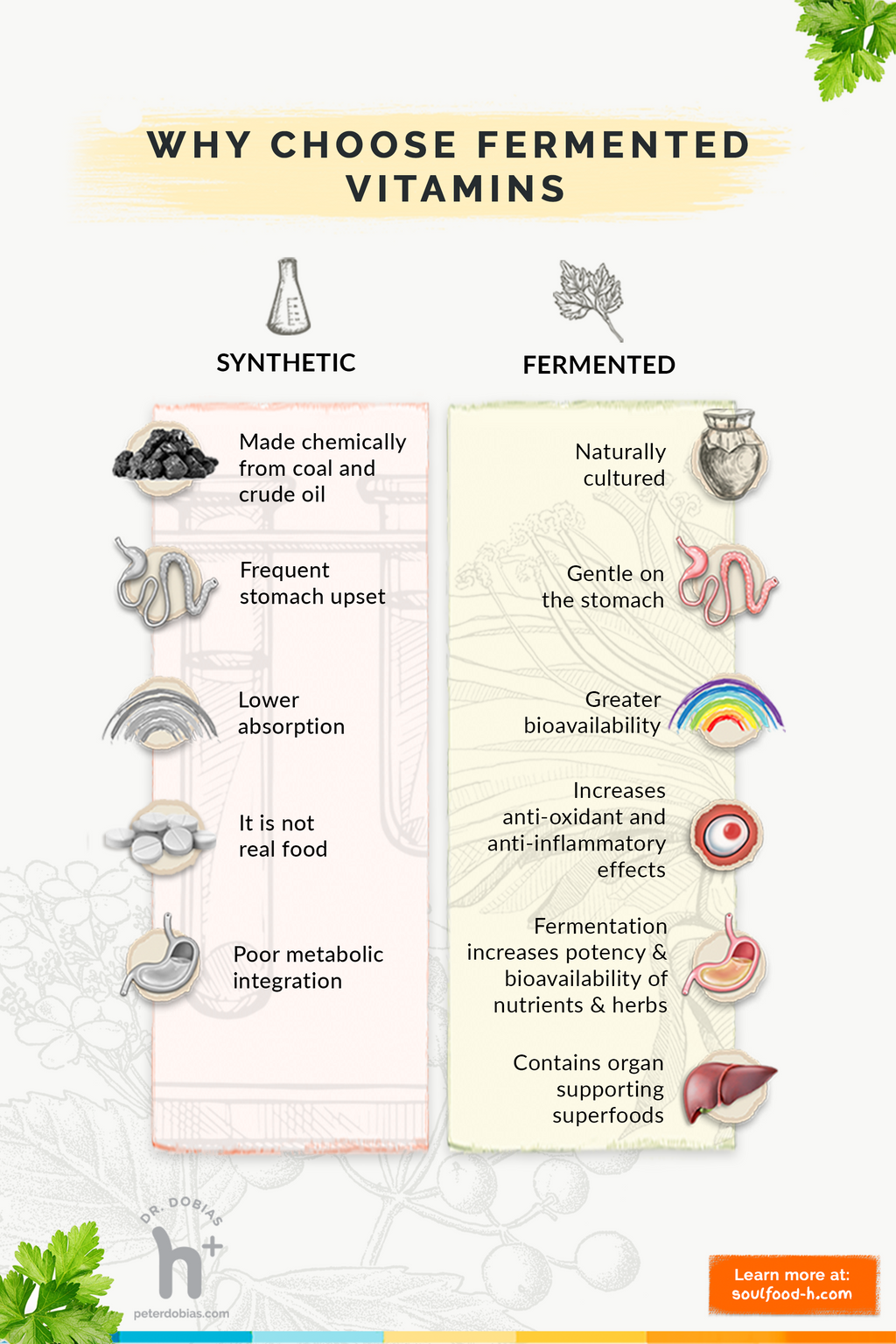 Fermented Dog Multivitamin Supplement product image 6