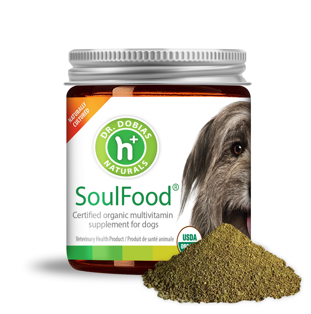 Fermented Dog Multivitamin Supplement product image 7