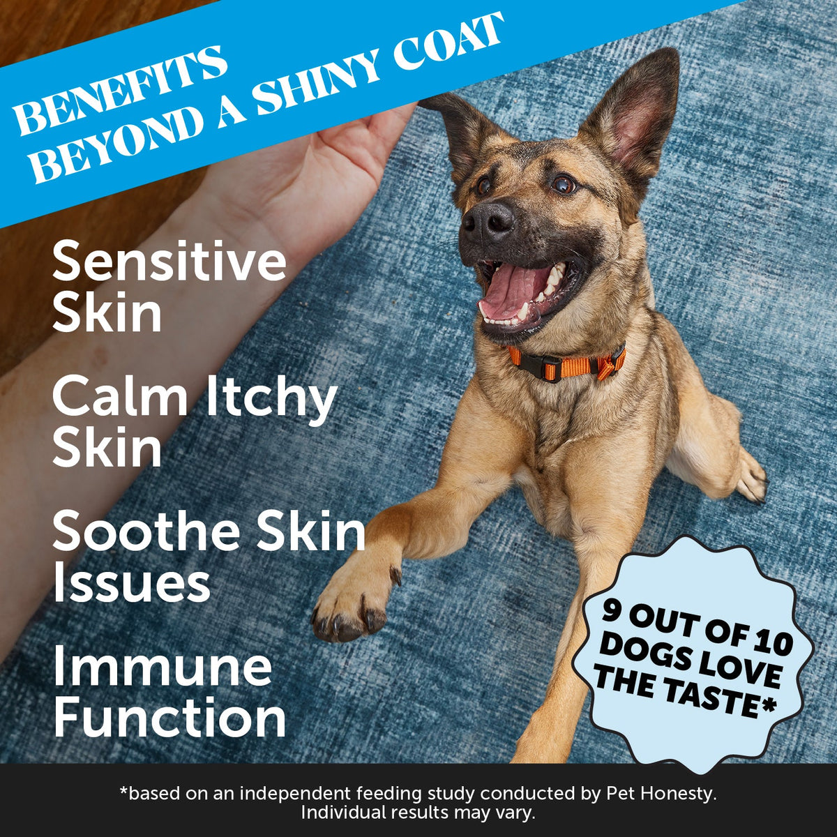 Dog Skin Supplements product image 2