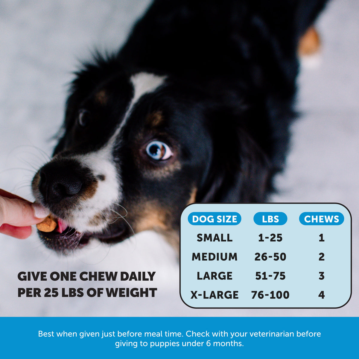 Dog Skin Supplements product image 5