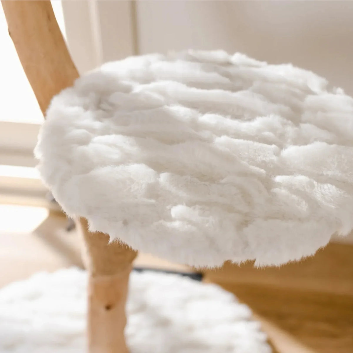 Cotton White