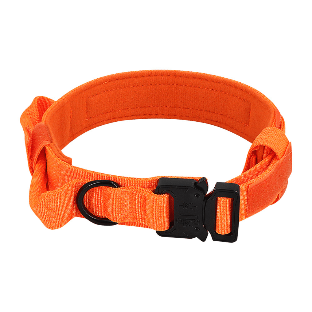 Metal-Buckle Tactical K9 Dog Collar With Hook & Loop Panel & Top Handle