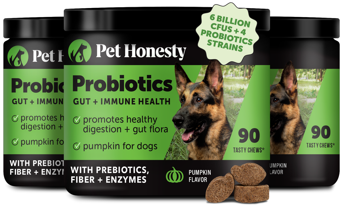 Dog Probiotic Chews product image 1