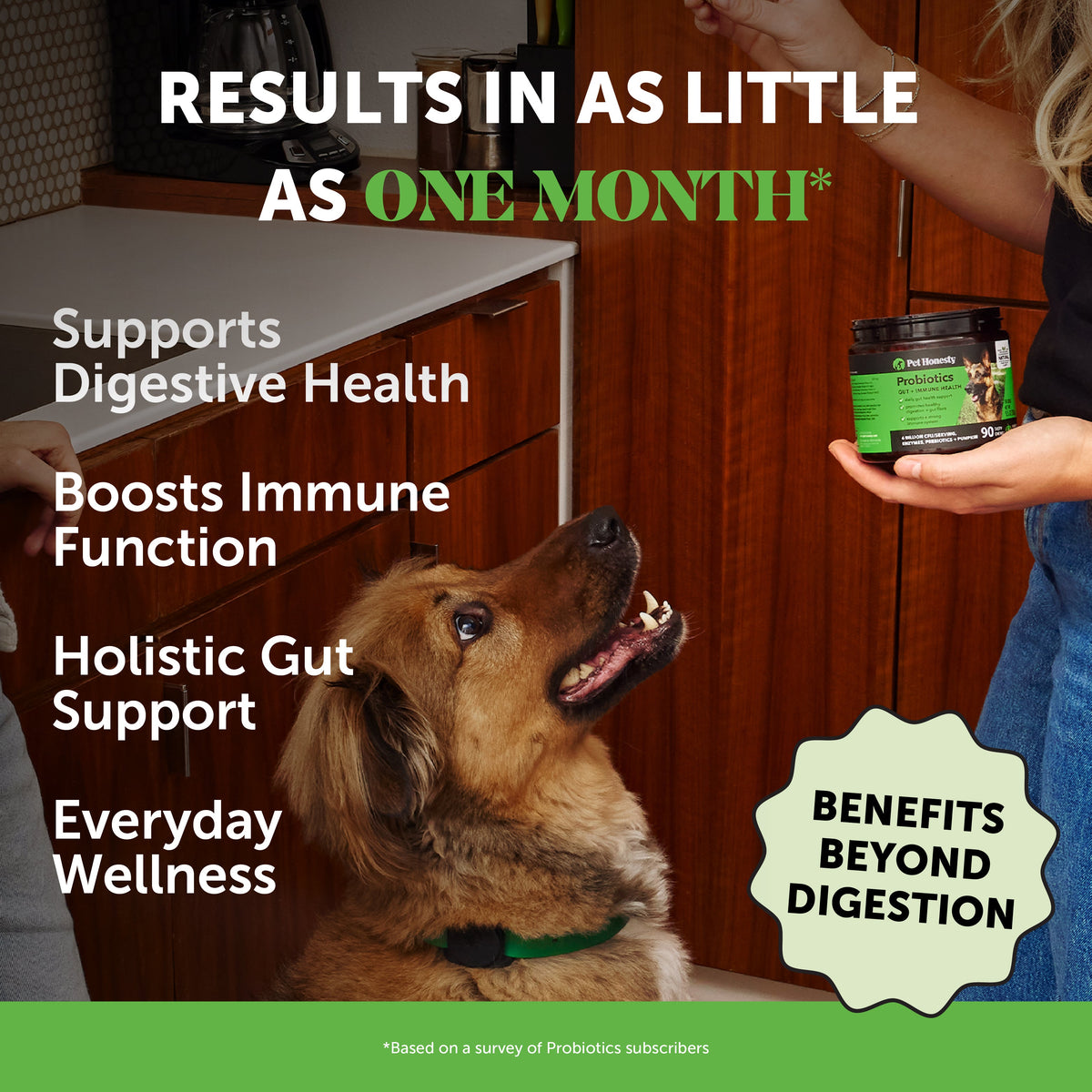 Dog Probiotic Chews product image 2
