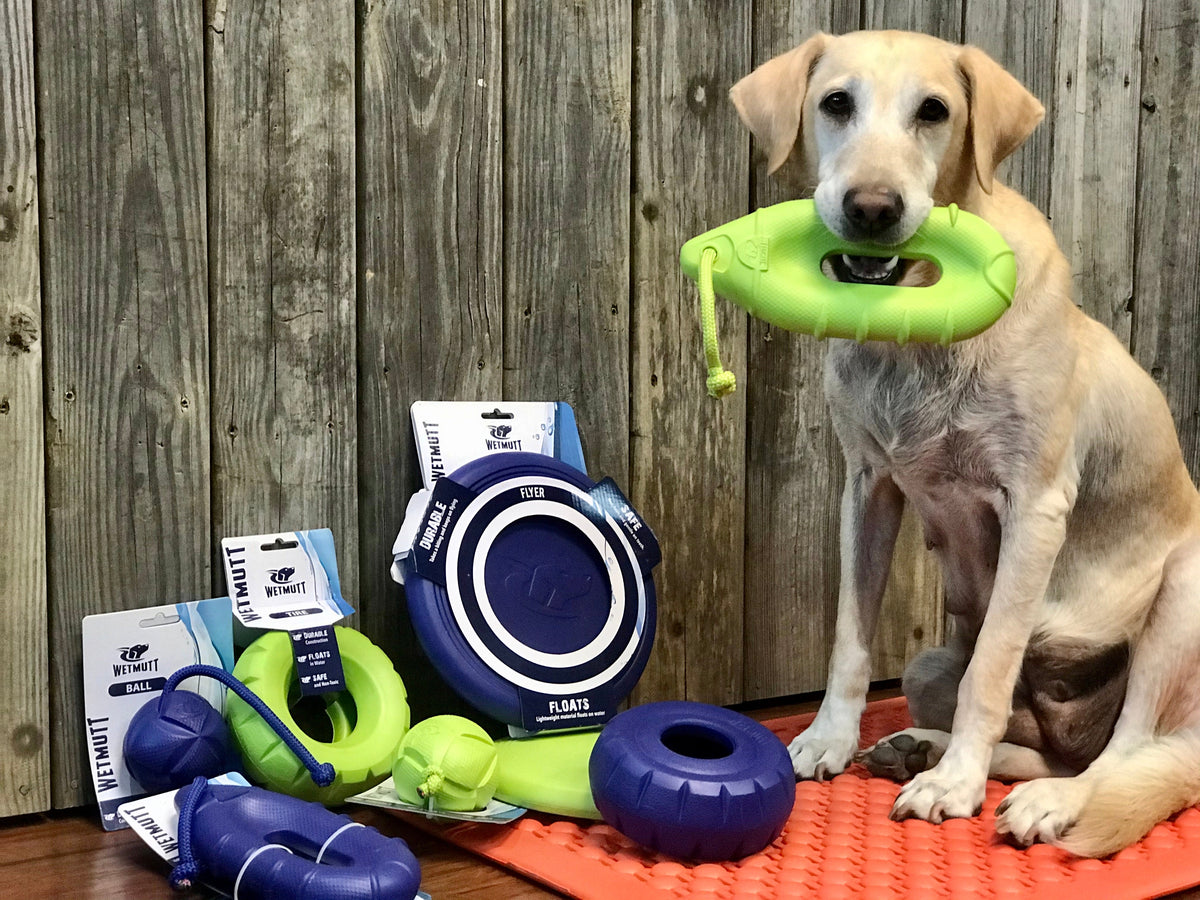 Dog Flying Disc product image 4