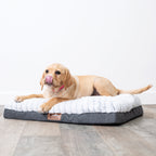 Orthopedic Dog Bed product image 1