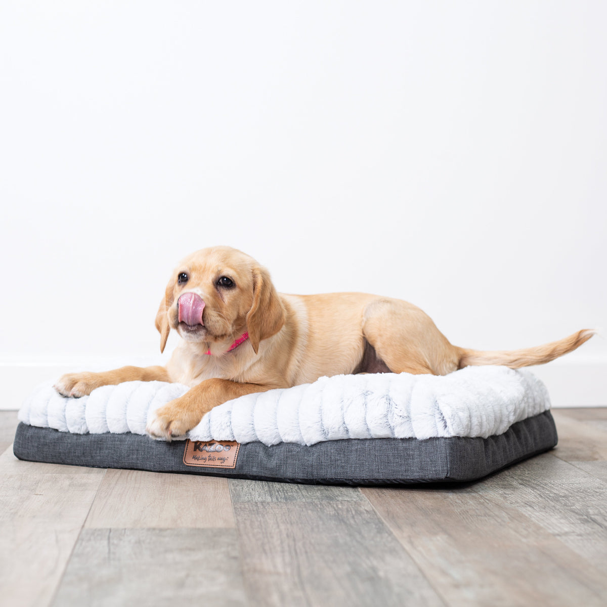 Orthopedic Dog Bed product image 1