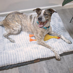 Orthopedic Dog Bed product image 2
