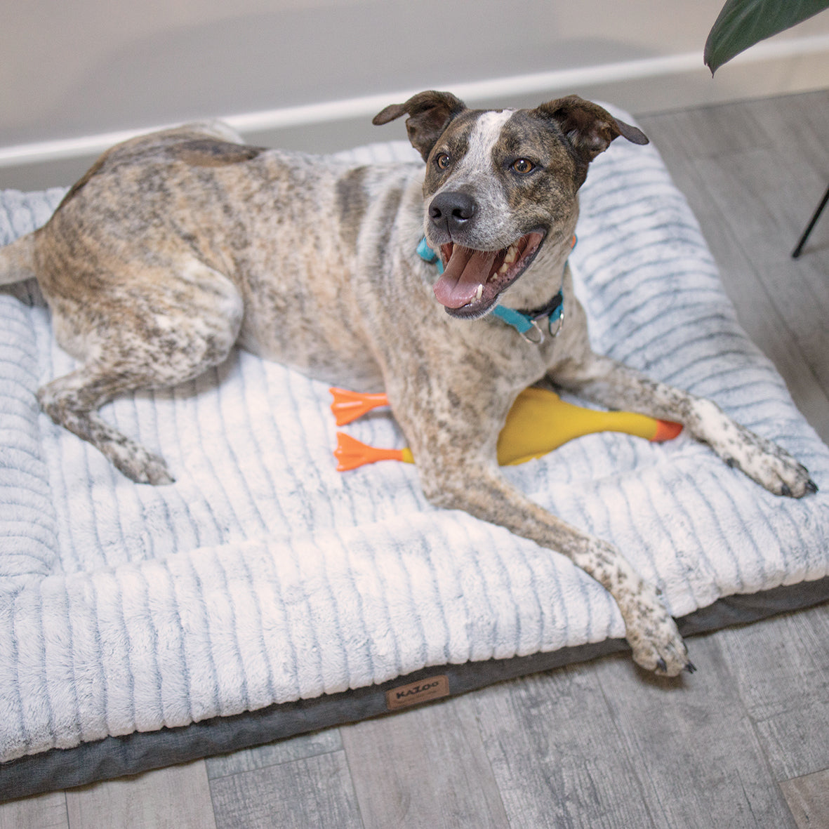 Orthopedic Dog Bed product image 2
