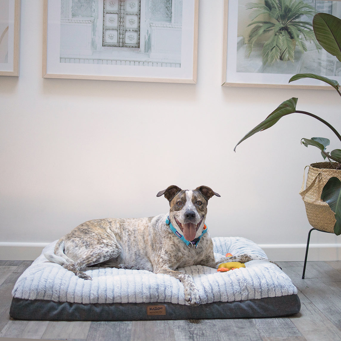 Orthopedic Dog Bed product image 3