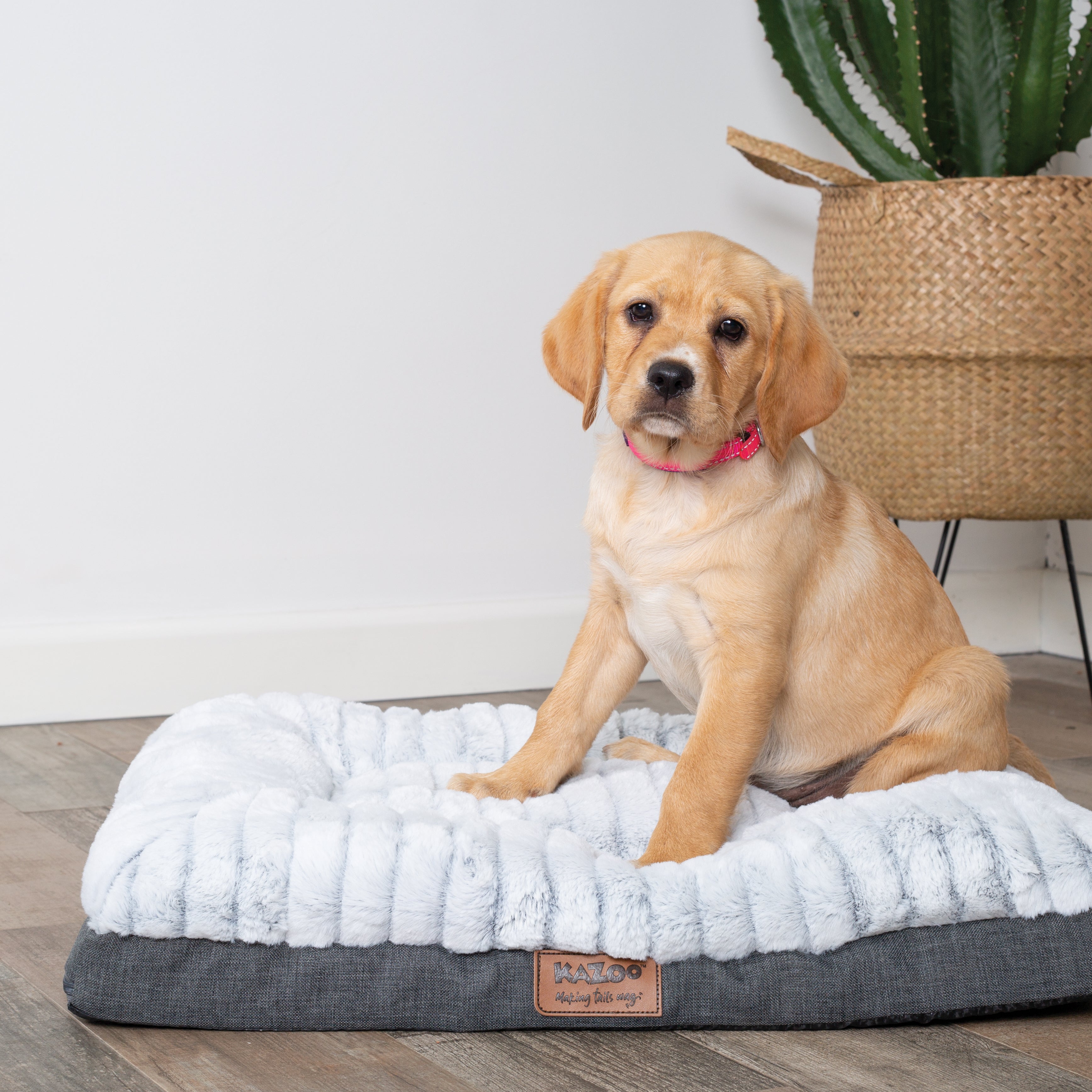 Orthopedic Dog Bed product image 4