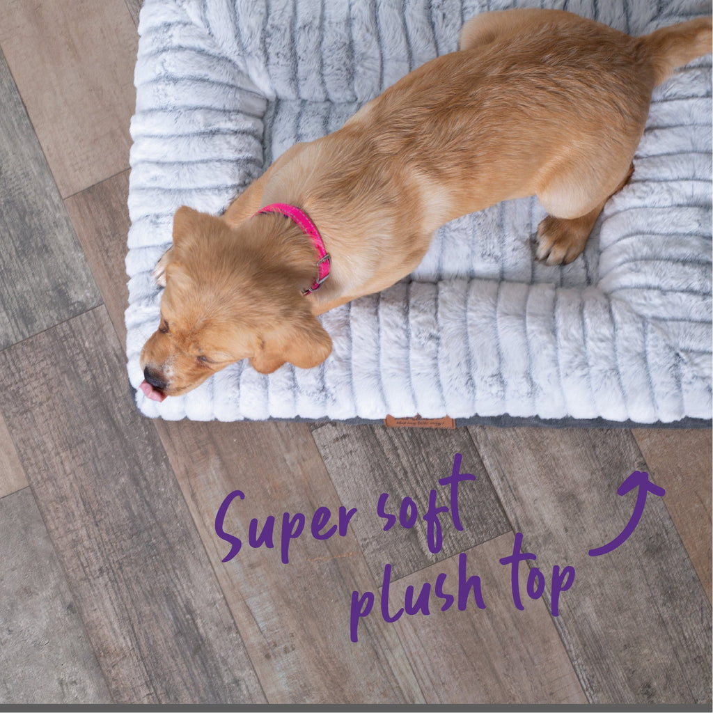 Orthopedic Dog Bed product image 5