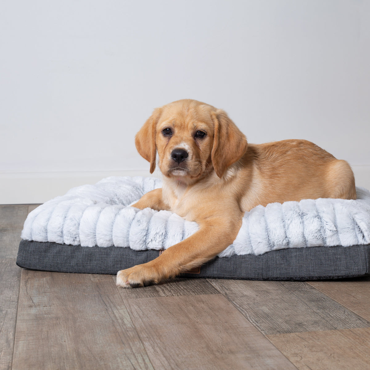 Orthopedic Dog Bed product image 6