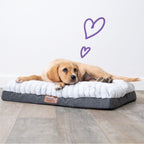 Orthopedic Dog Bed product image 7