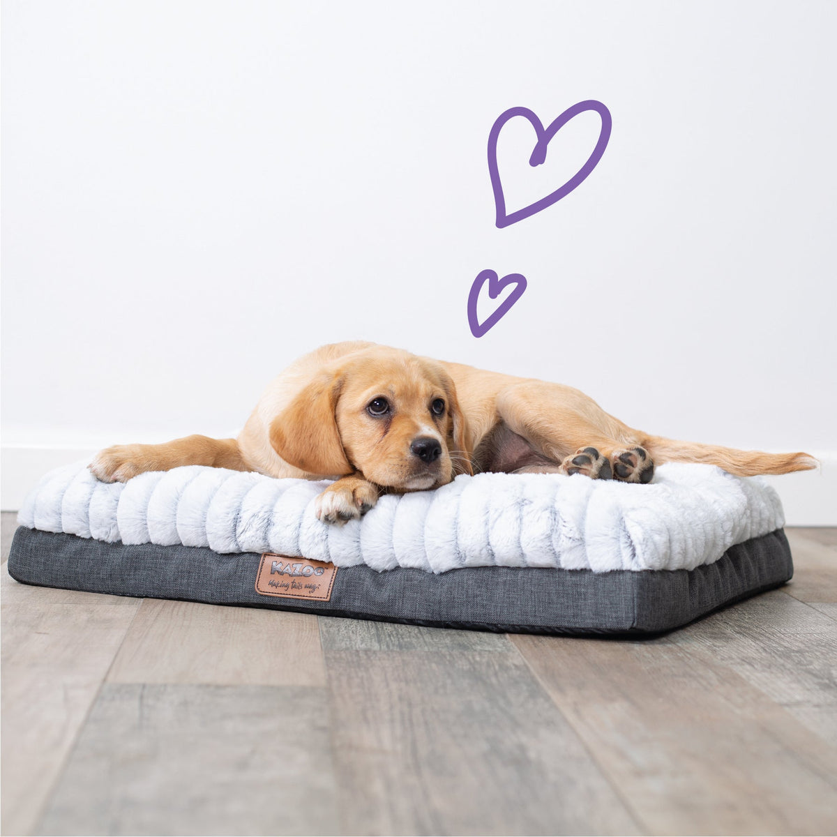 Orthopedic Dog Bed product image 7