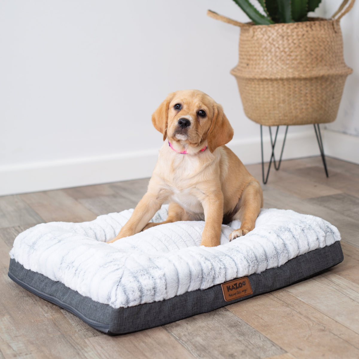 Orthopedic Dog Bed product image 8