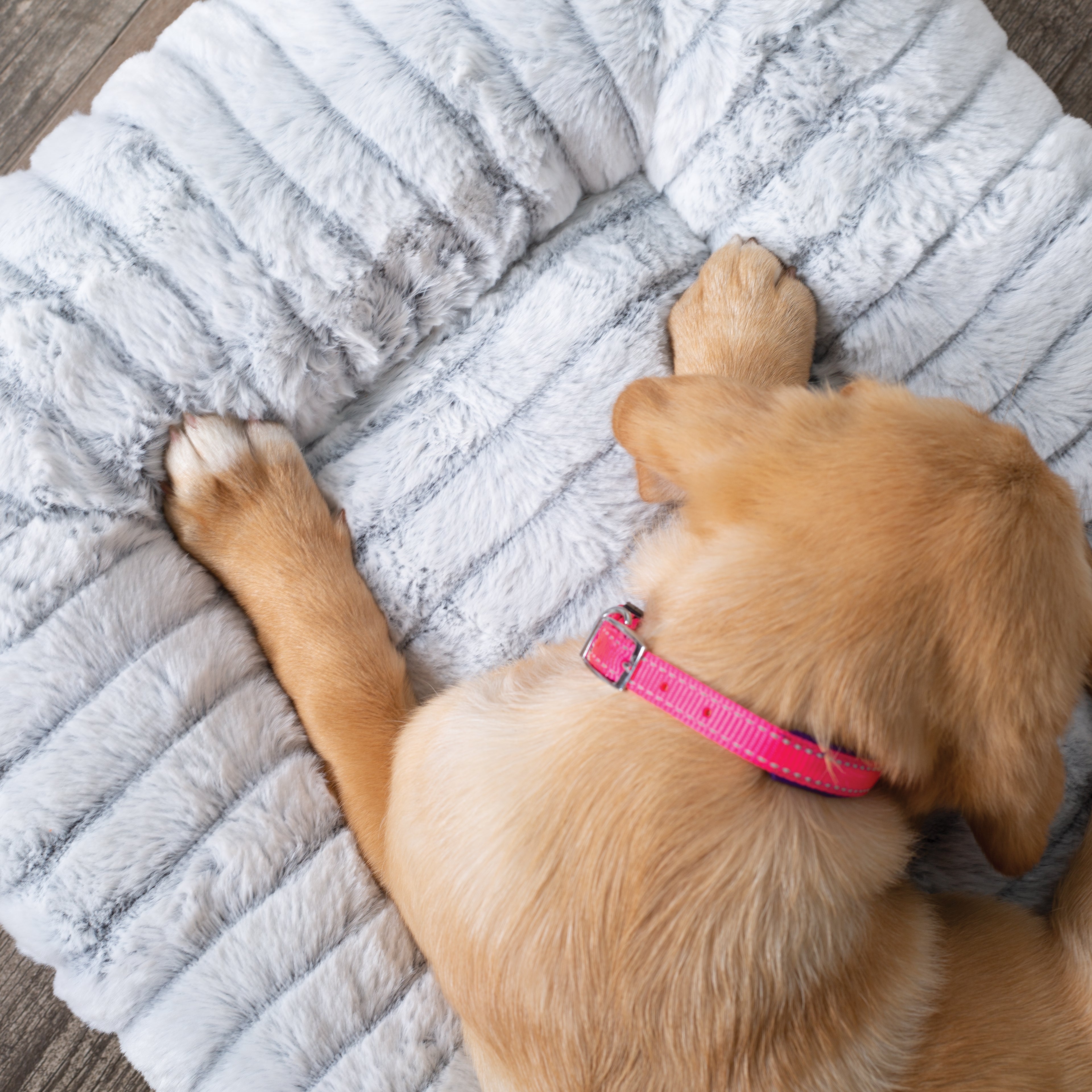 Orthopedic Dog Bed product image 9