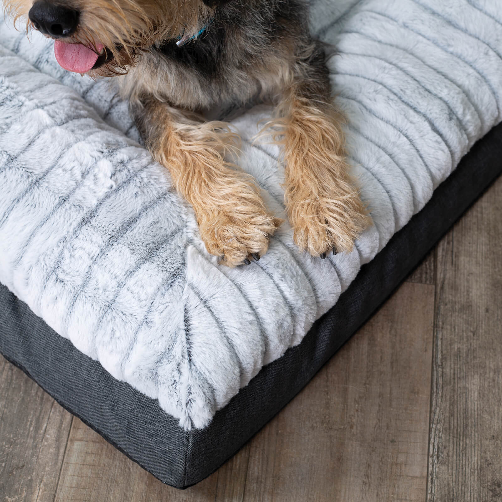 Orthopedic Dog Bed product image 12