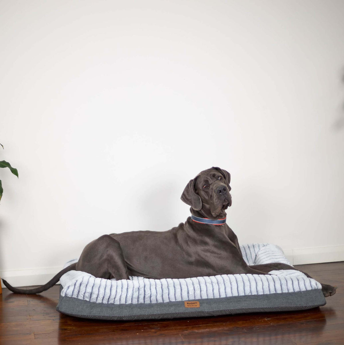 Orthopedic Dog Bed product image 13