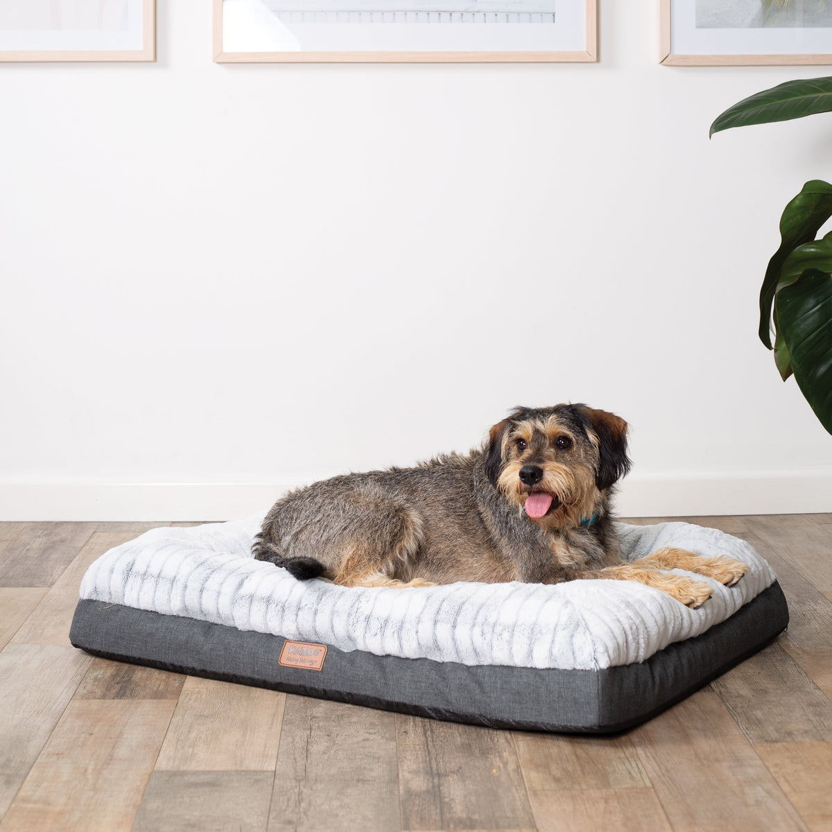 Orthopedic Dog Bed product image 14