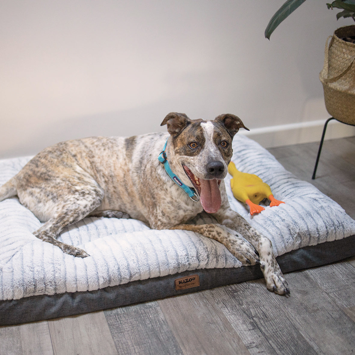 Orthopedic Dog Bed product image 15