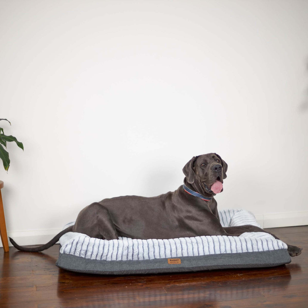 Orthopedic Dog Bed product image 16