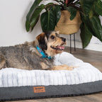Orthopedic Dog Bed product image 17