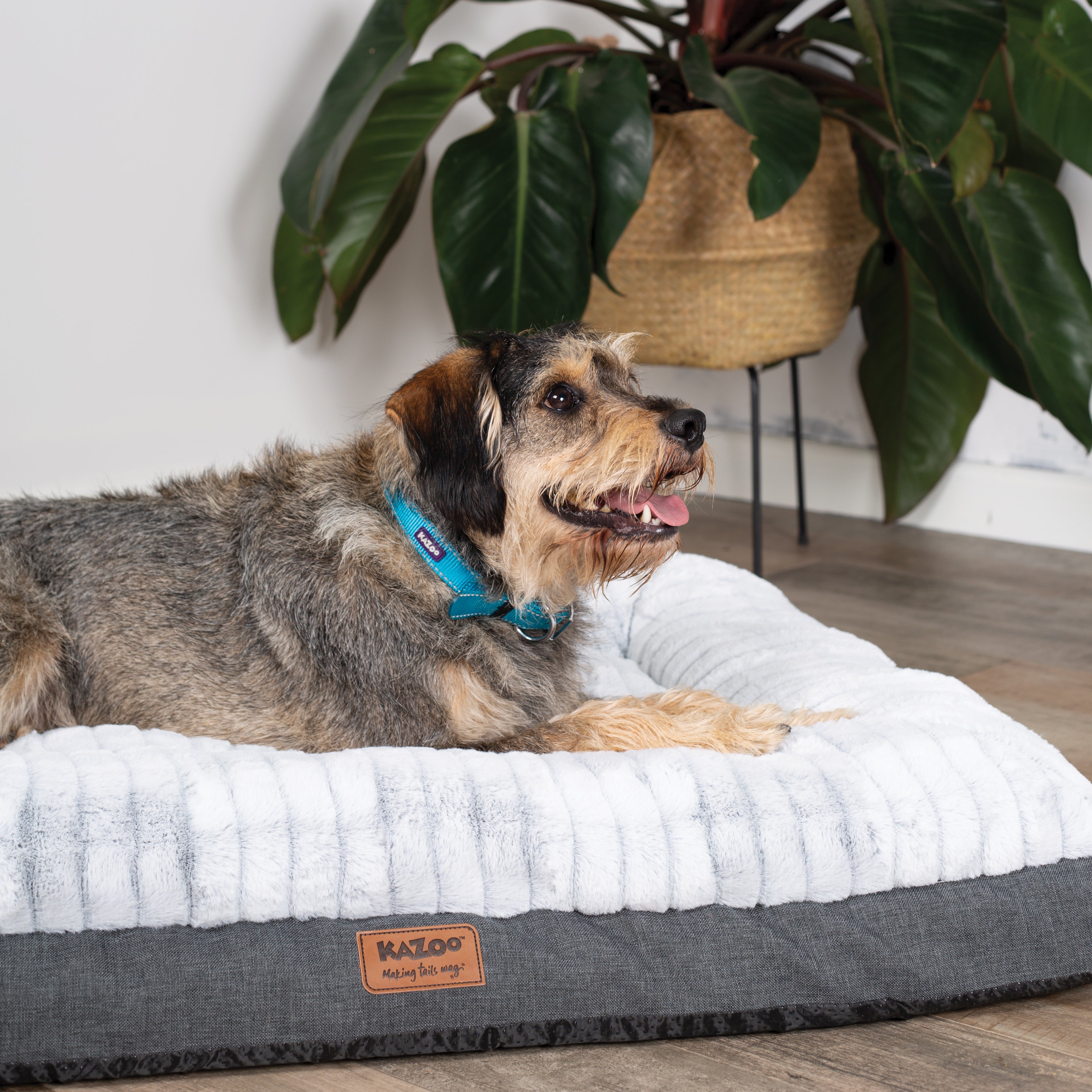 Orthopedic Dog Bed product image 17