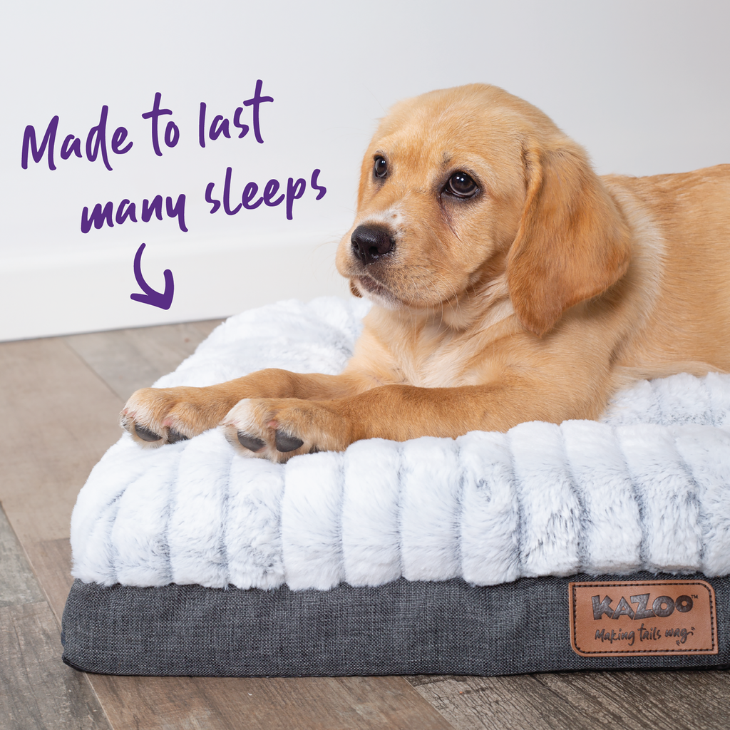 Orthopedic Dog Bed product image 24