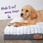 Orthopedic Dog Bed product image 24