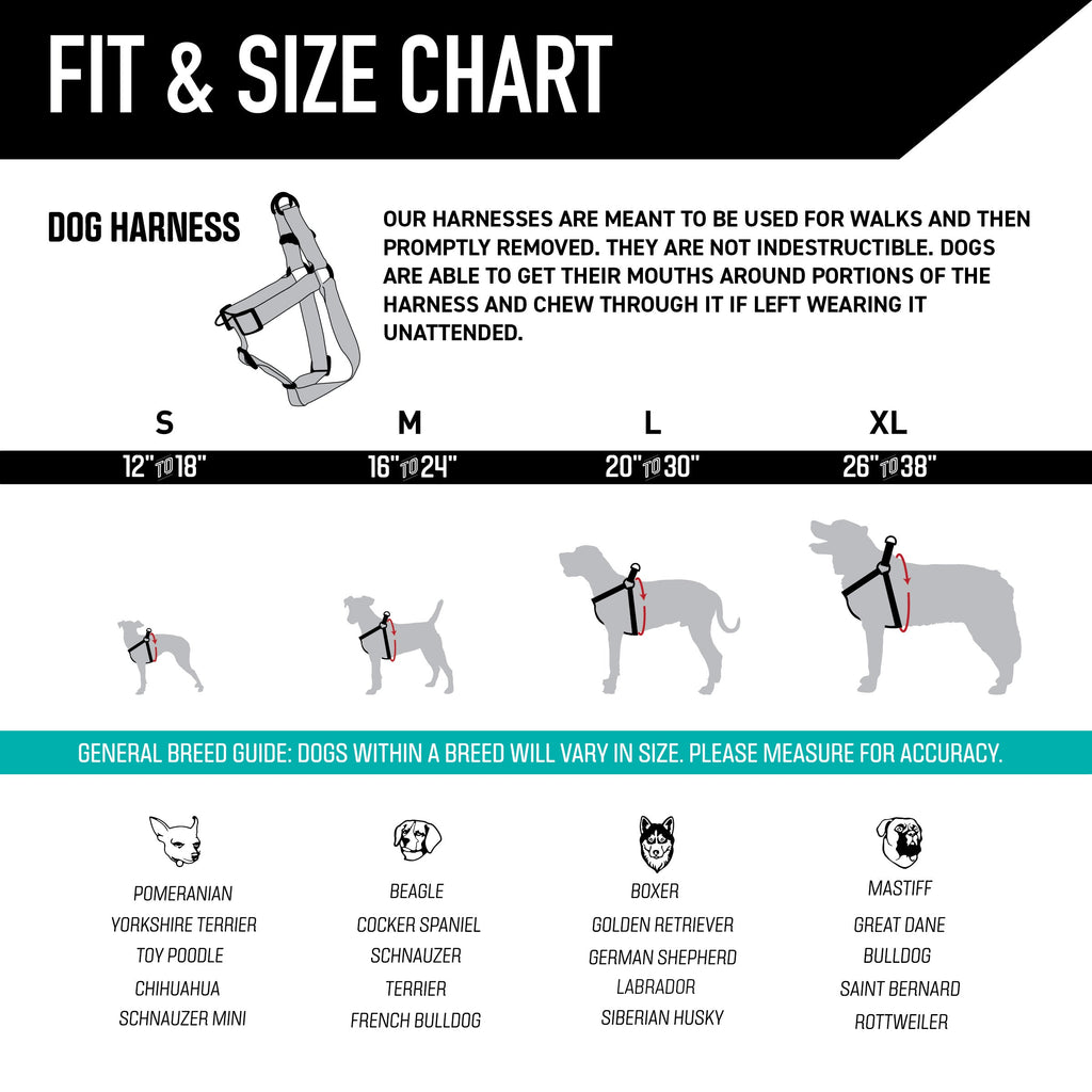Dog Harness product image 4