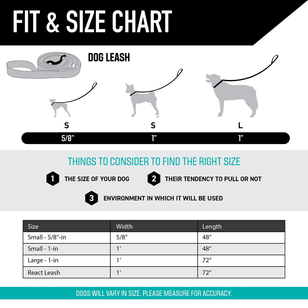 Dog Leash product image 4