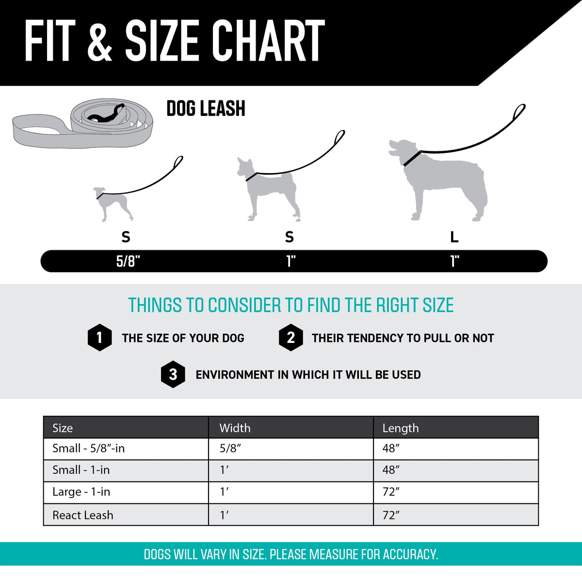 Dog Leash product image 4