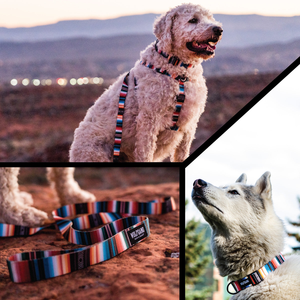 Dog Leash product image 6