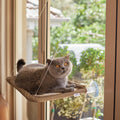 Cat Window Bed product image 1