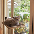 Cat Window Bed product image 1