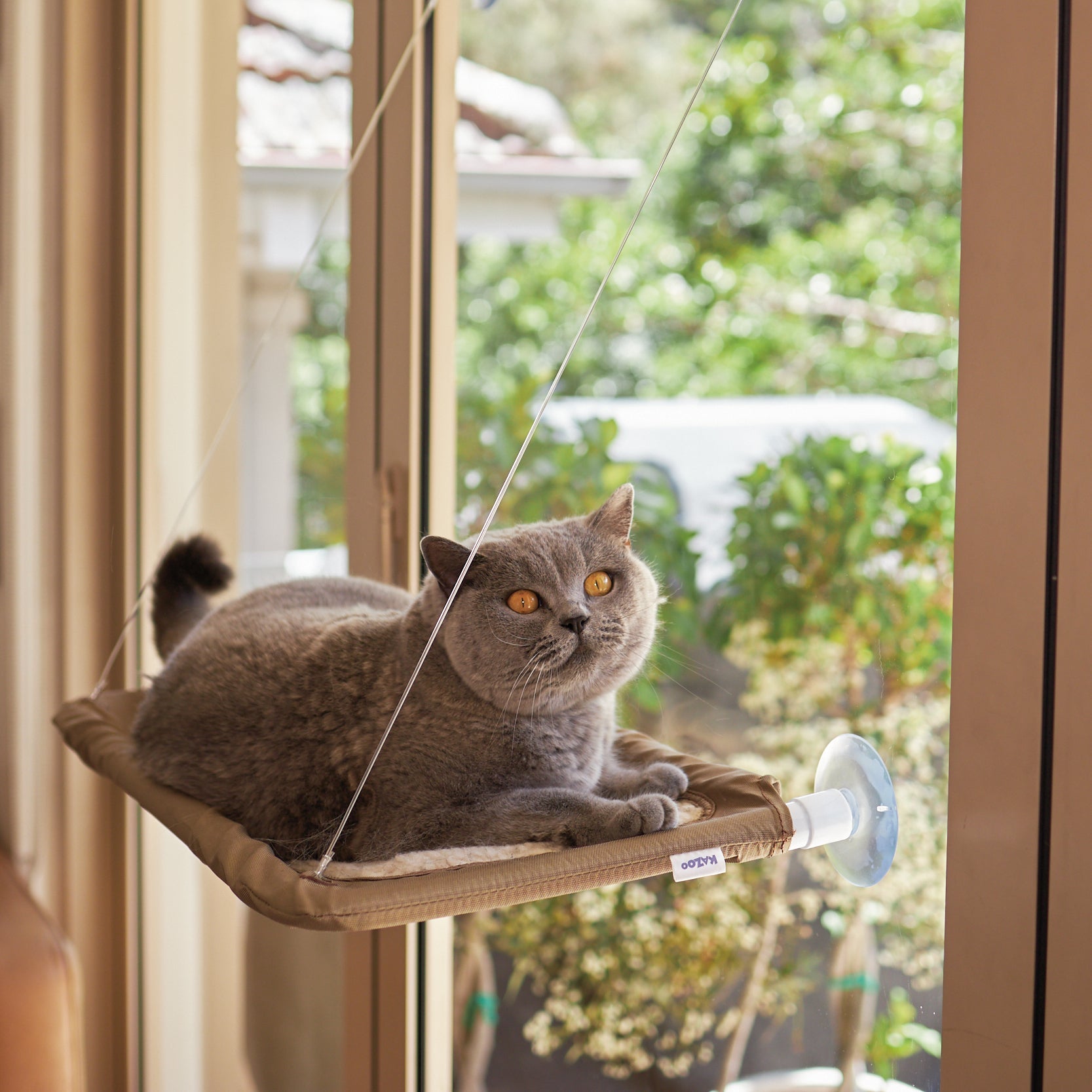 Cat Window Bed product image 1