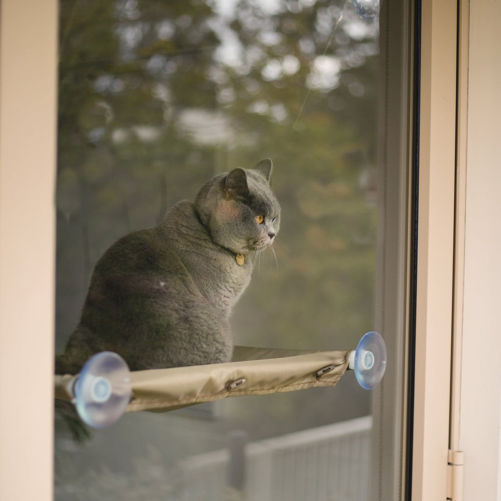Cat Window Bed product image 2
