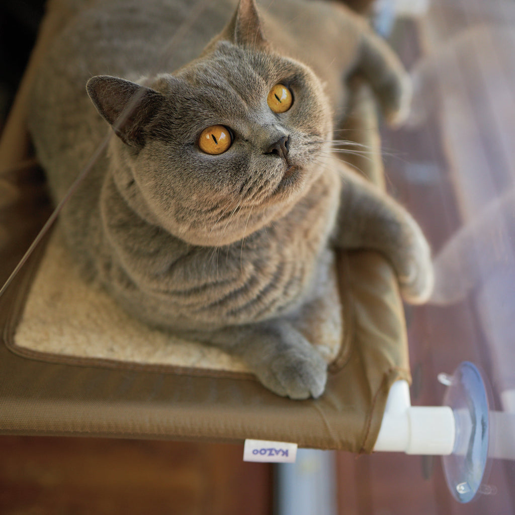 Cat Window Bed product image 5