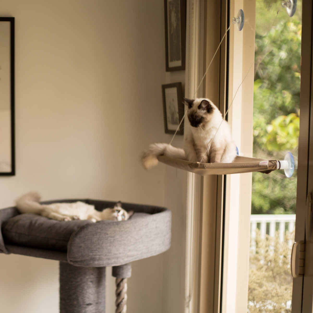 Cat Window Bed product image 6