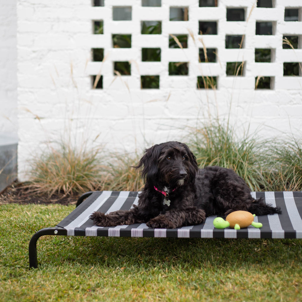 Outdoor Dog Bed product image 1